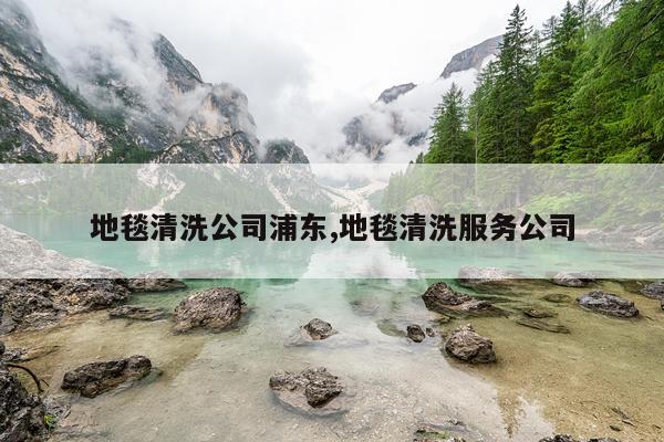 地毯清洗公司浦东,地毯清洗服务公司
