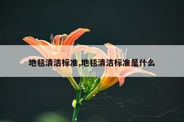 地毯清洁标准,地毯清洁标准是什么
