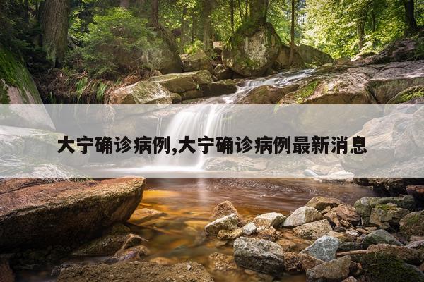 大宁确诊病例,大宁确诊病例最新消息