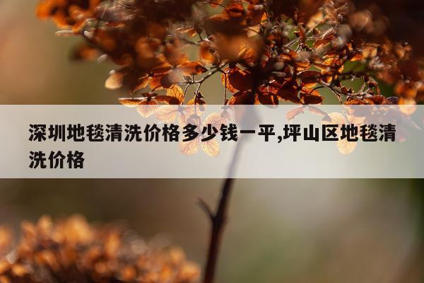 深圳地毯清洗价格多少钱一平,坪山区地毯清洗价格