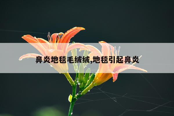 鼻炎地毯毛绒绒,地毯引起鼻炎