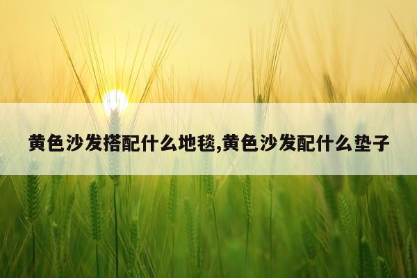 黄色沙发搭配什么地毯,黄色沙发配什么垫子