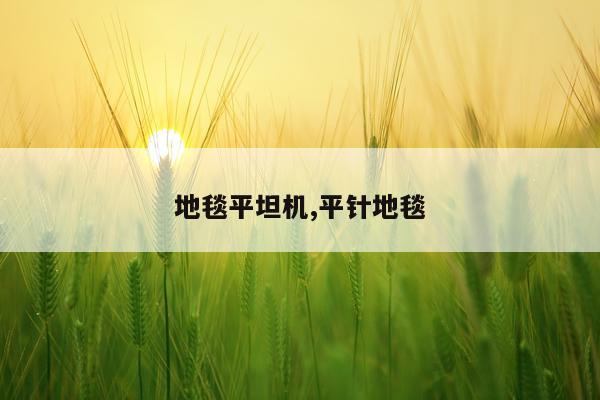 地毯平坦机,平针地毯