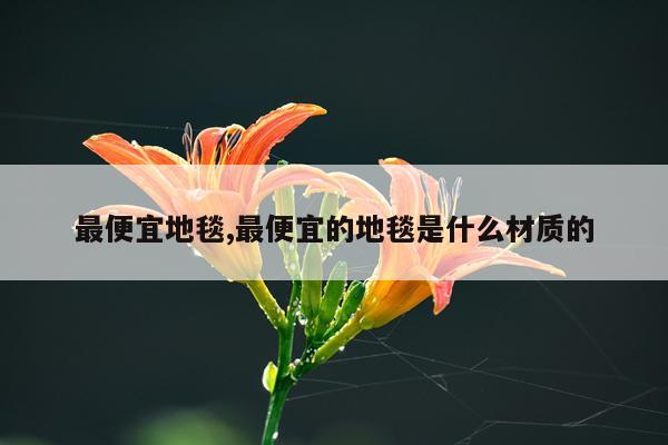 最便宜地毯,最便宜的地毯是什么材质的