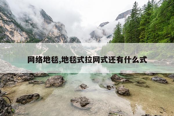 网络地毯,地毯式拉网式还有什么式