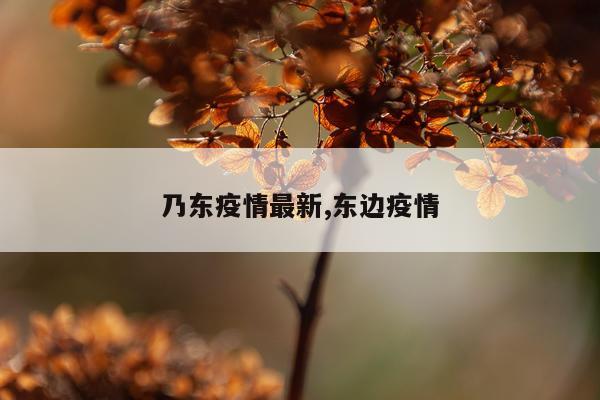 乃东疫情最新,东边疫情