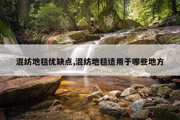 混纺地毯优缺点,混纺地毯适用于哪些地方