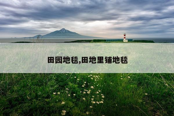 田园地毯,田地里铺地毯