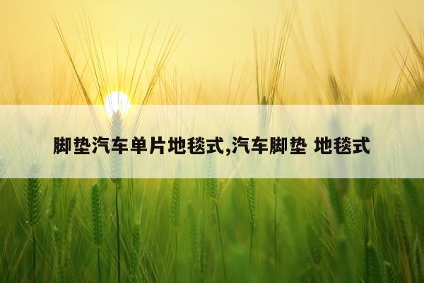 脚垫汽车单片地毯式,汽车脚垫 地毯式