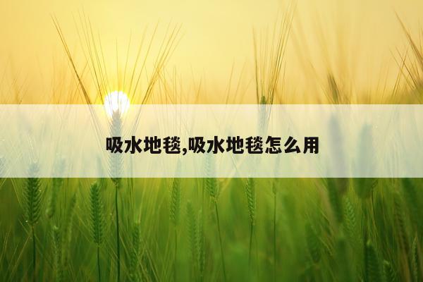 吸水地毯,吸水地毯怎么用