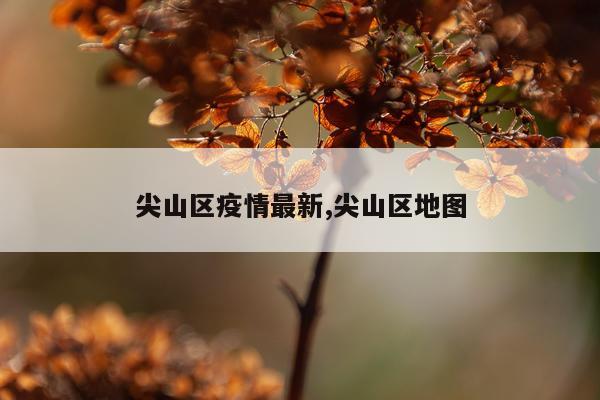 尖山区疫情最新,尖山区地图