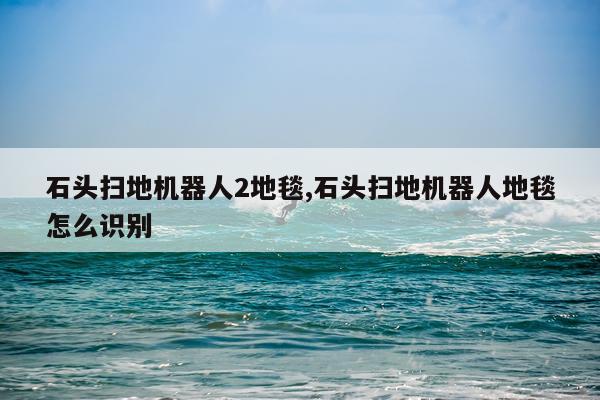 石头扫地机器人2地毯,石头扫地机器人地毯怎么识别