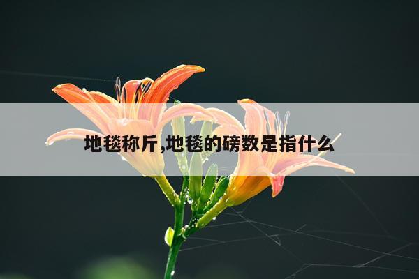 地毯称斤,地毯的磅数是指什么