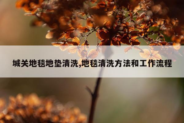 城关地毯地垫清洗,地毯清洗方法和工作流程