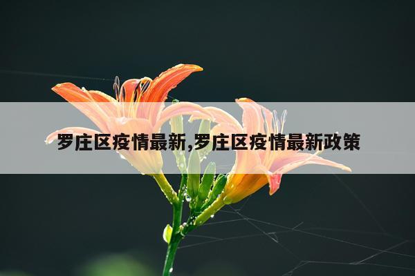 罗庄区疫情最新,罗庄区疫情最新政策