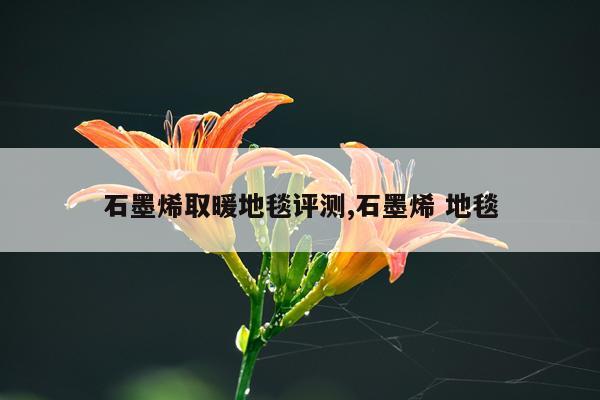 石墨烯取暖地毯评测,石墨烯 地毯